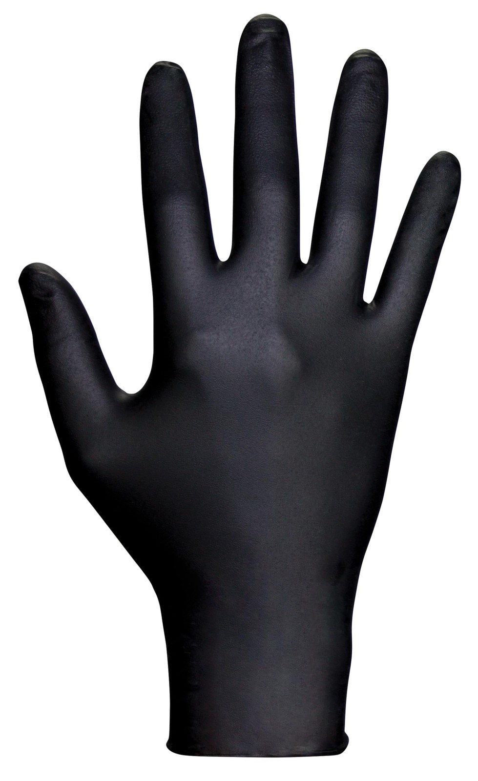 SAS Safety 66518 Raven Powder-Free Disposable Large (Pack of 100), Black
