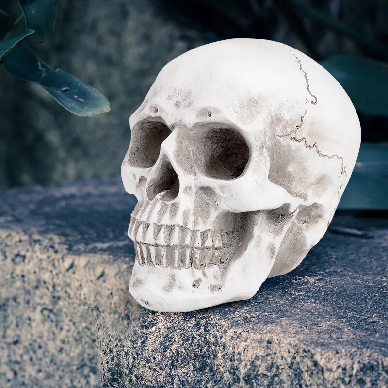 Retro Human Skull Replica Resin Anatomical Model Medical Life Size Realistic 1:1
