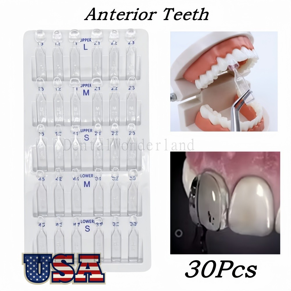 Dental Veneer Mould Kit Composite Resin Mold Light Cure Anterior Posterior Teeth