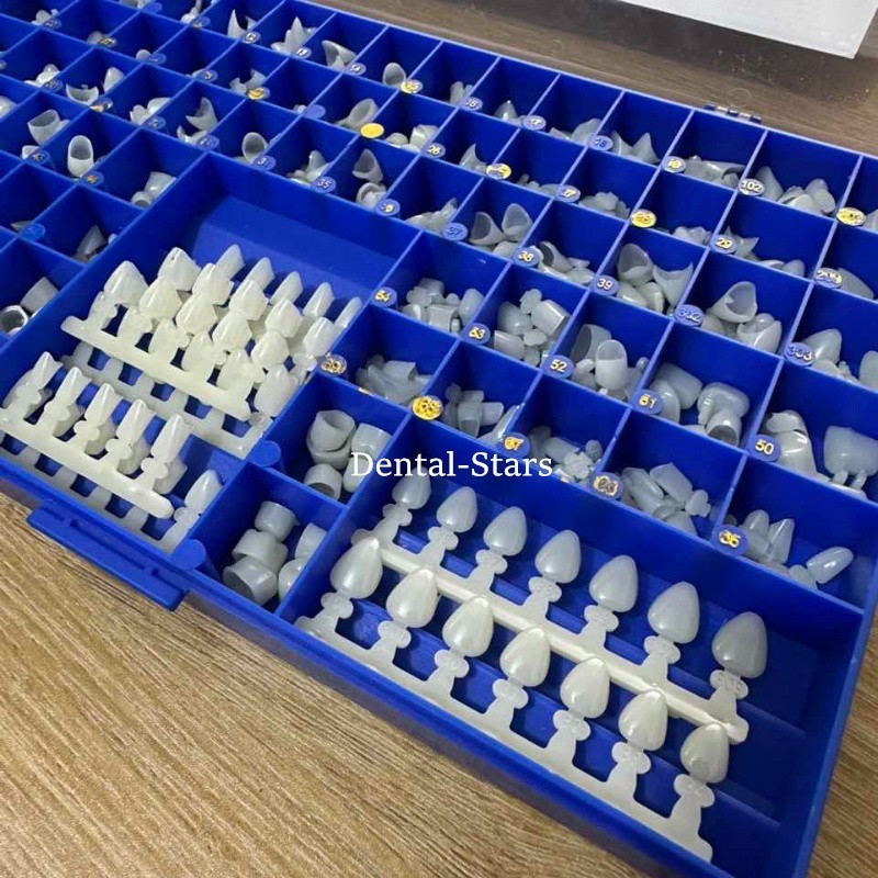 Temporary Dental Polycarbonate Crown Resin Anterior Premolars & Molar 390Pcs USA