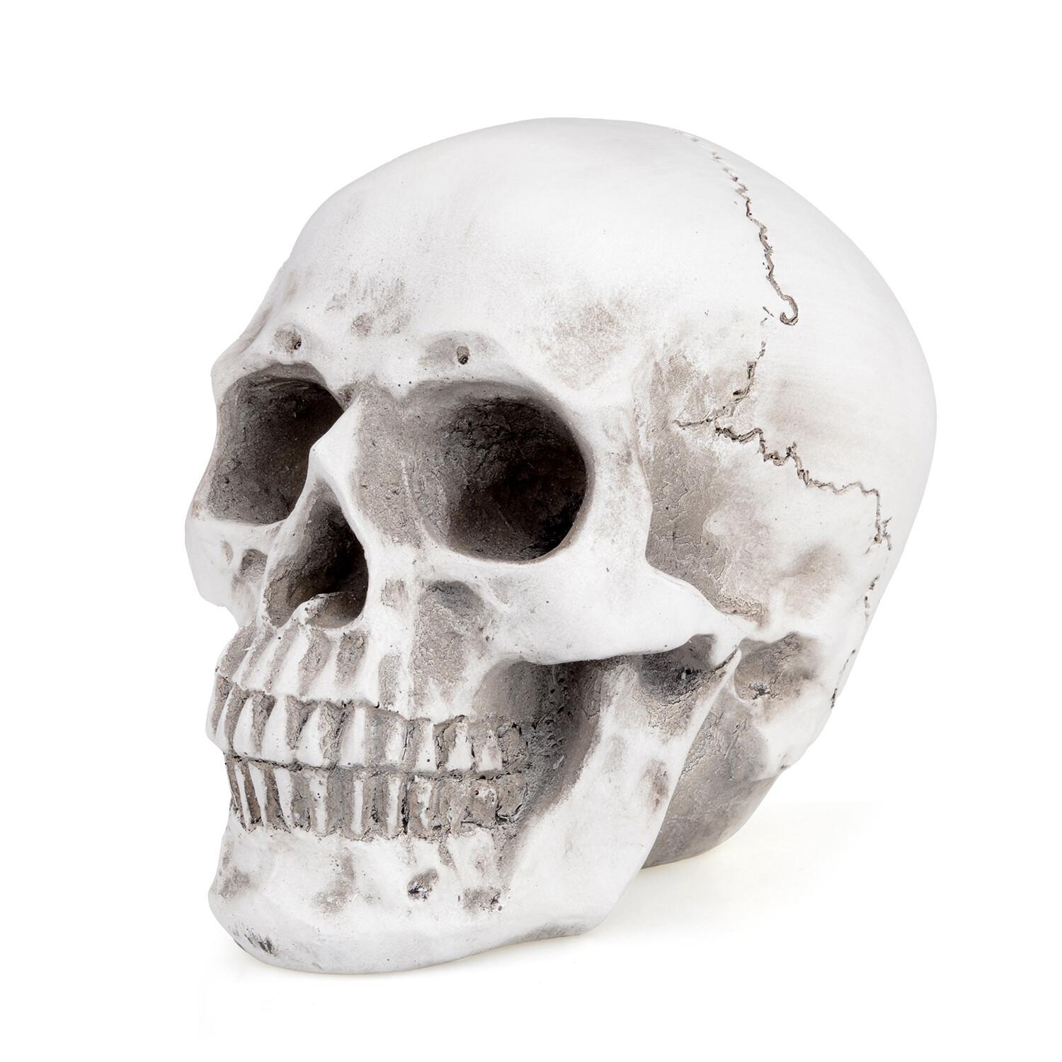 Retro Human Skull Replica Resin Anatomical Model Medical Life Size Realistic 1:1