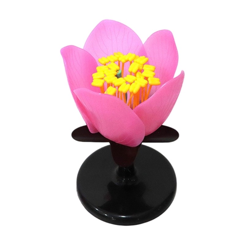 Enlarged Plastic Peach Flower Model Biology Teaching Aid For School Biology Lab
