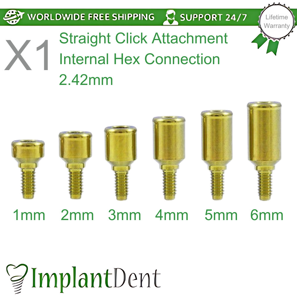 1x Loc-In Titanium Straight Attachment Dental Int Hex Connection 2.42mm Dentist