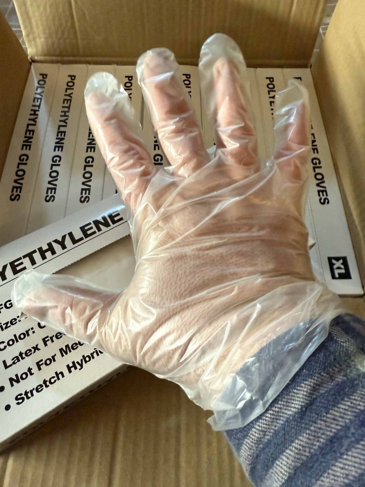 Plastic Gloves Latex Free Disposable Bulk Pack 1000 X-Large