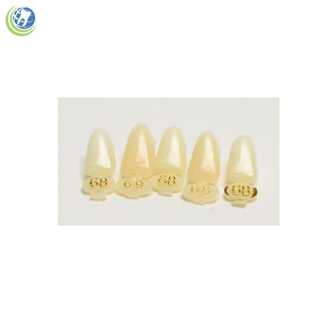 DENTAL POLYCARBONATE TEMPORARY CROWNS #68 (LAS) LOWER ANTERIOR SHORT 5/PACK