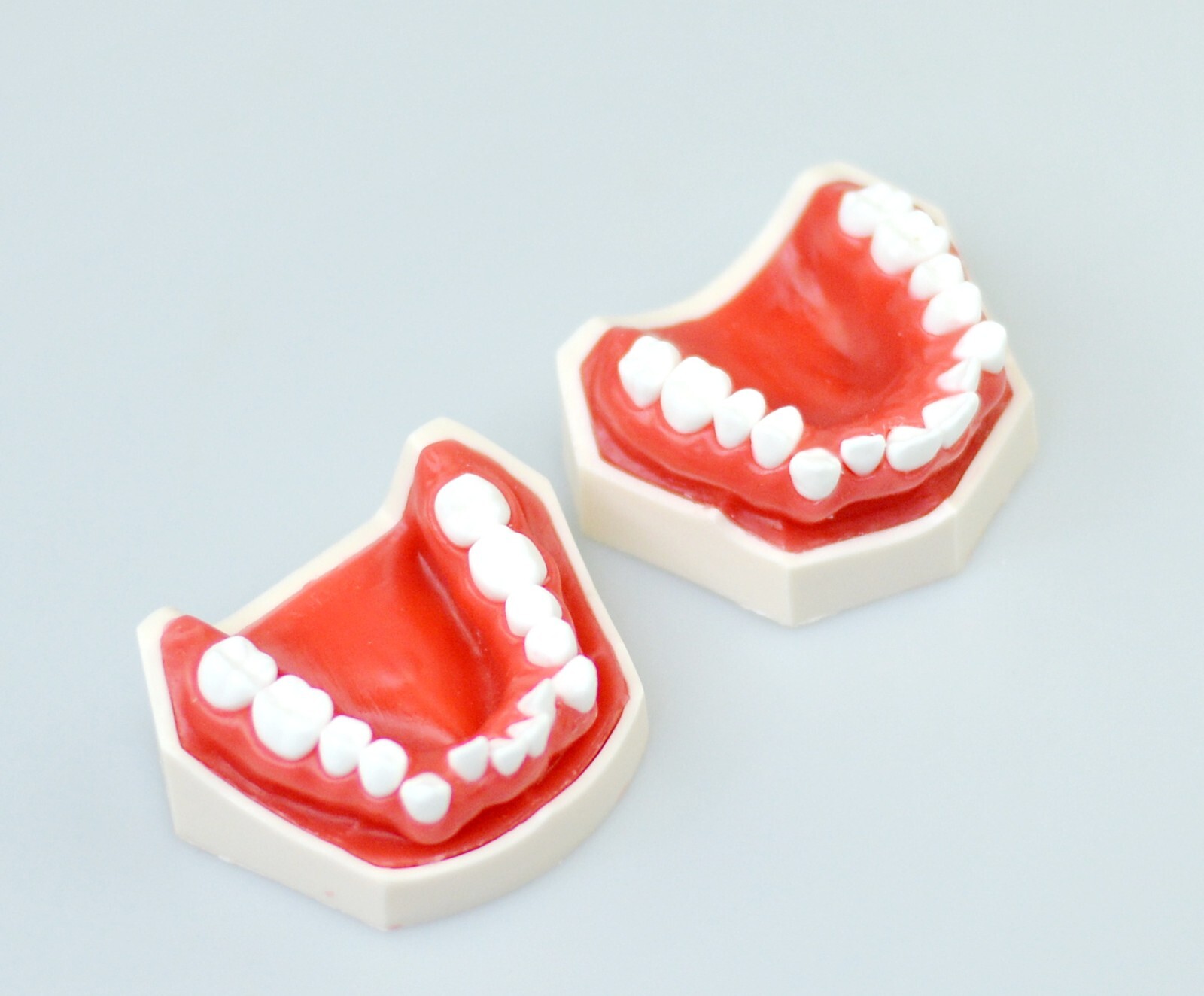 New Reusable Dental Practical Training Model/typodont/orthodontics Wax Model