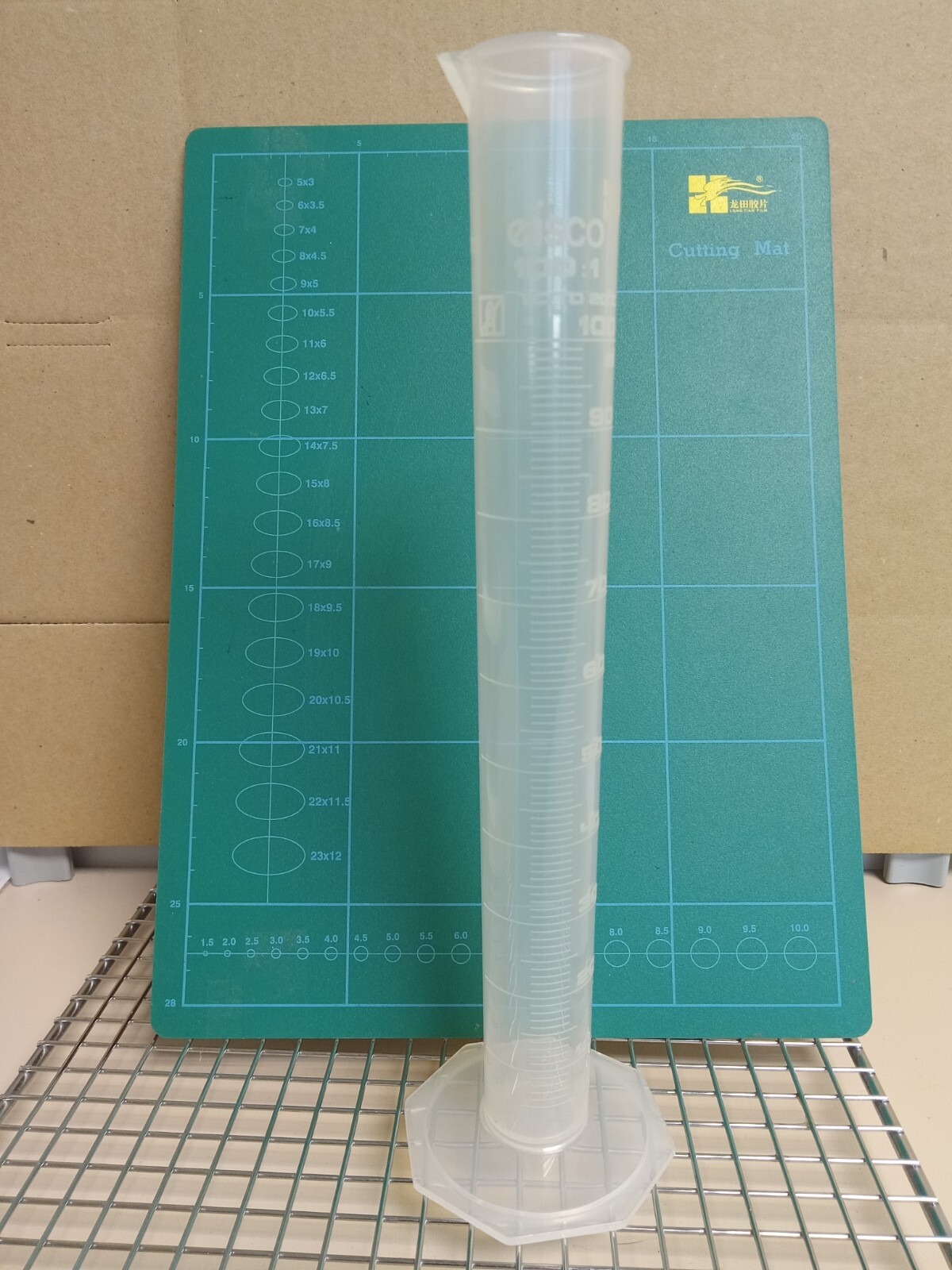 Eisco Labs 100ml Graduated Cylinder, Class B – Polypropylene