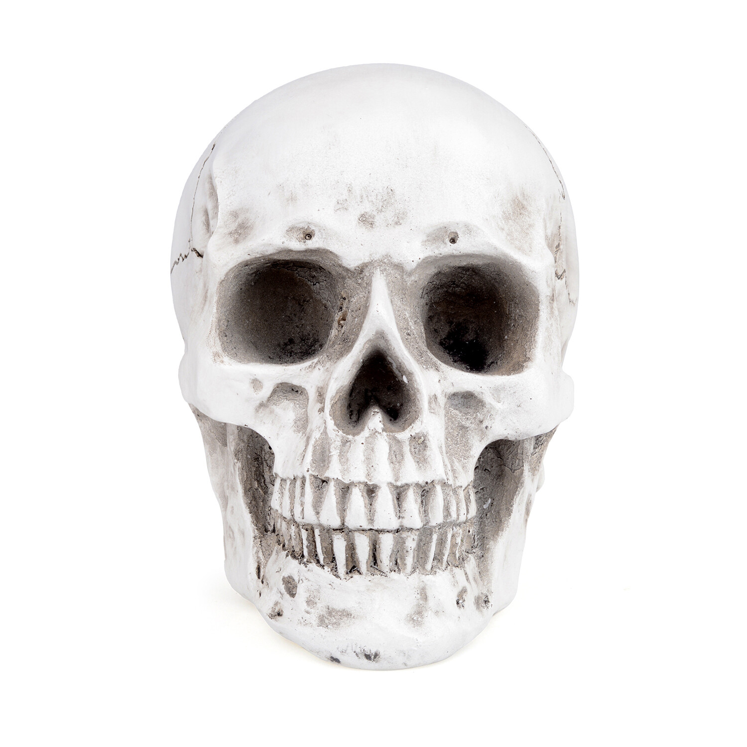 Retro Human Skull Replica Resin Anatomical Model Medical Life Size Realistic 1:1
