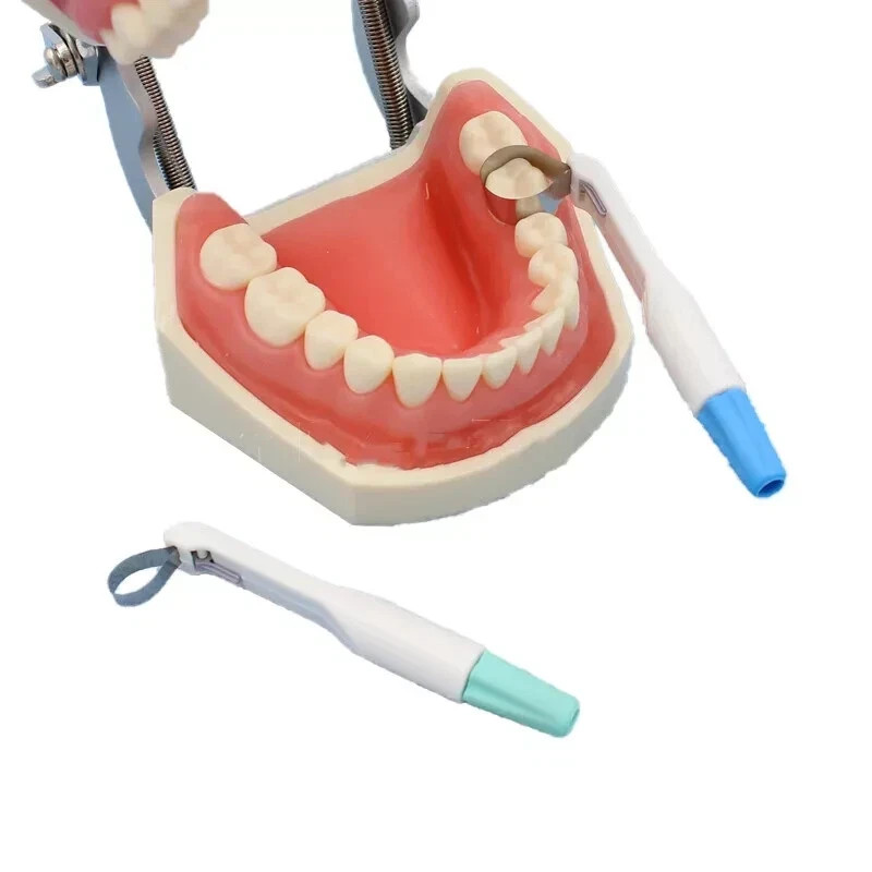 Dental Pro Matrix Bands Pre Formed Premolar/Molar Tofflemire Matrices Adjustable