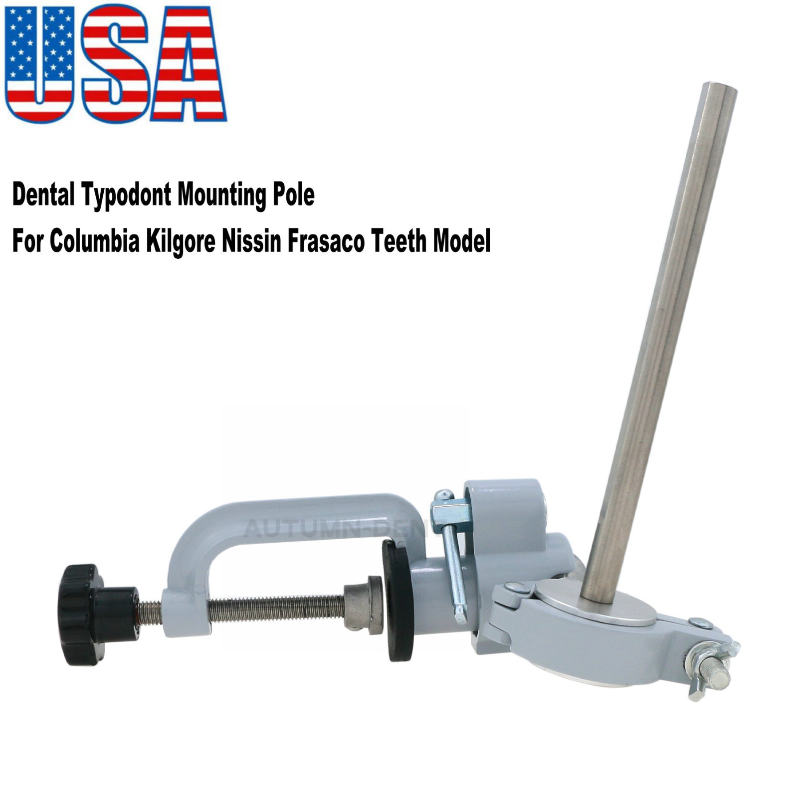 Kilgore Nissin 200 Type Dental Typodont Model 32pc Removable Teeth Mounting Pole
