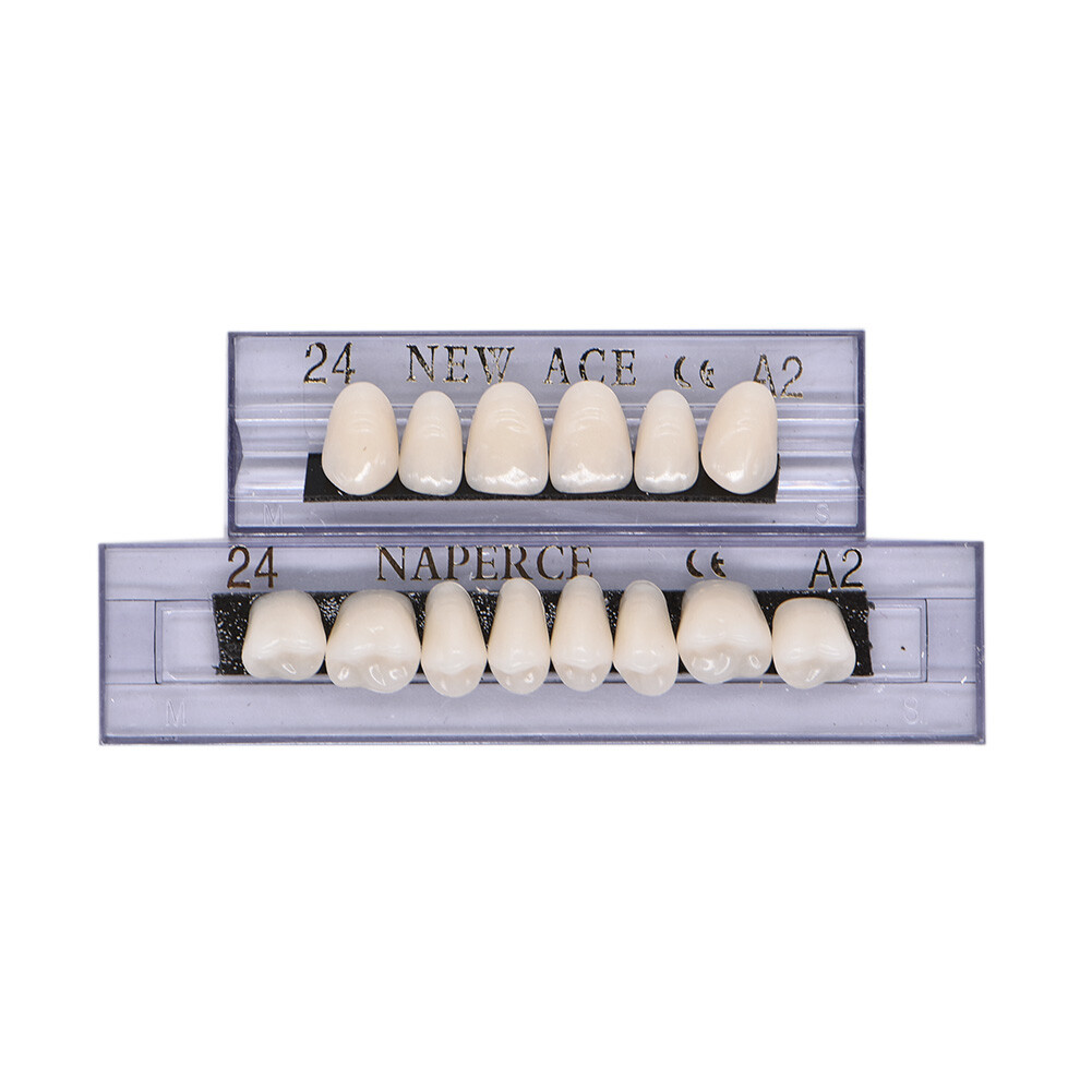 168Pcs/Box Acrylic Resin Denture #24 Dental Upper Lower Shade A2 Teeth Set US