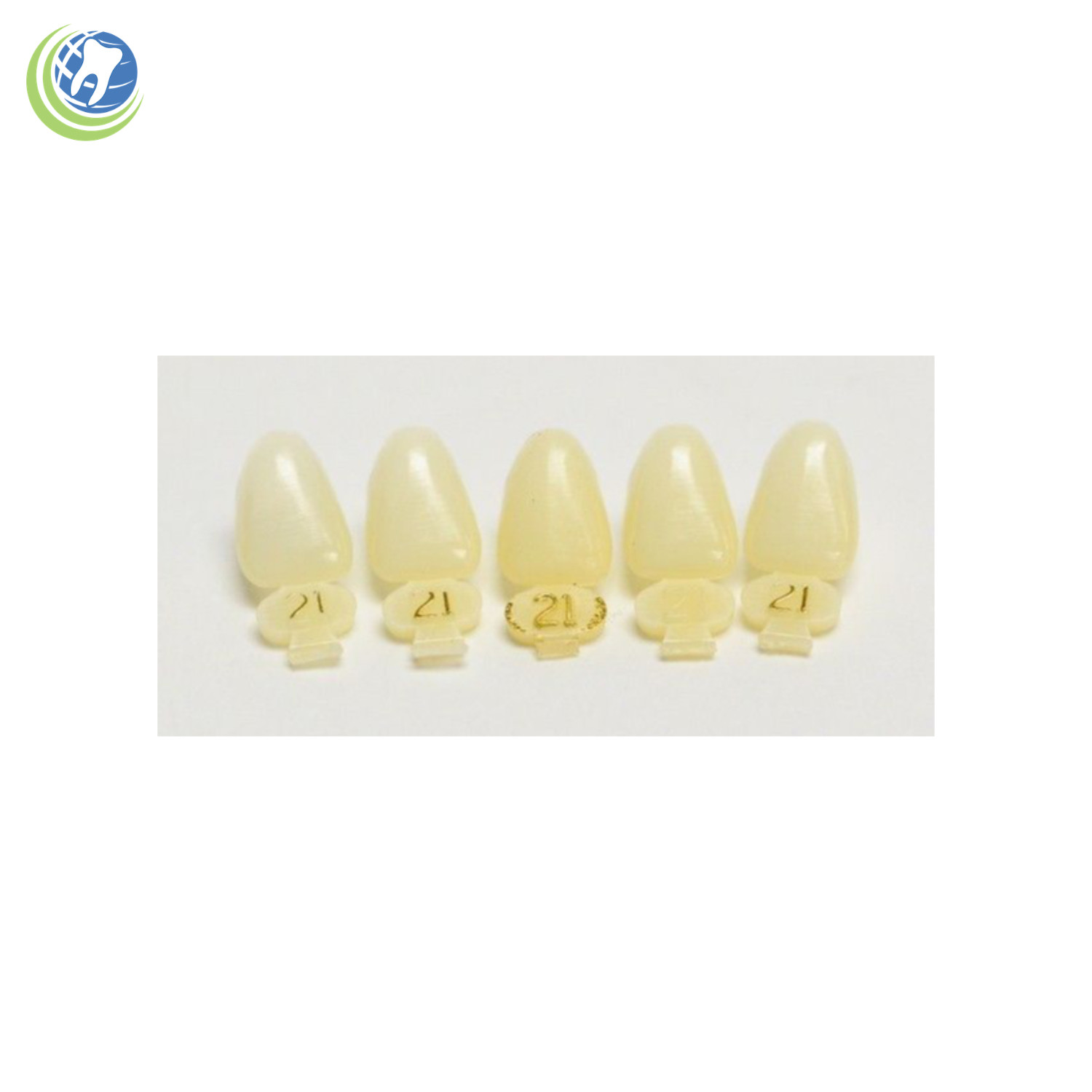 DENTAL POLYCARBONATE TEMPORARY CROWNS #21 (URL) UPPER RIGHT LATERAL 5/PACK