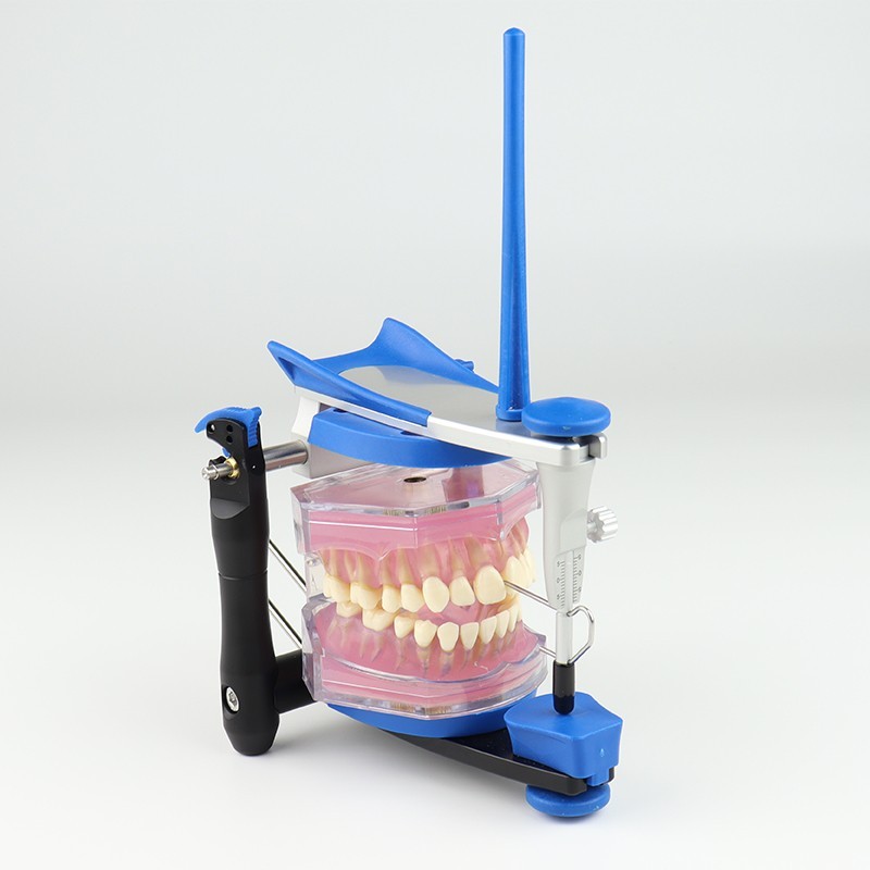 China Manufacturer Dental Lab Average Value BN Type Articulators for System