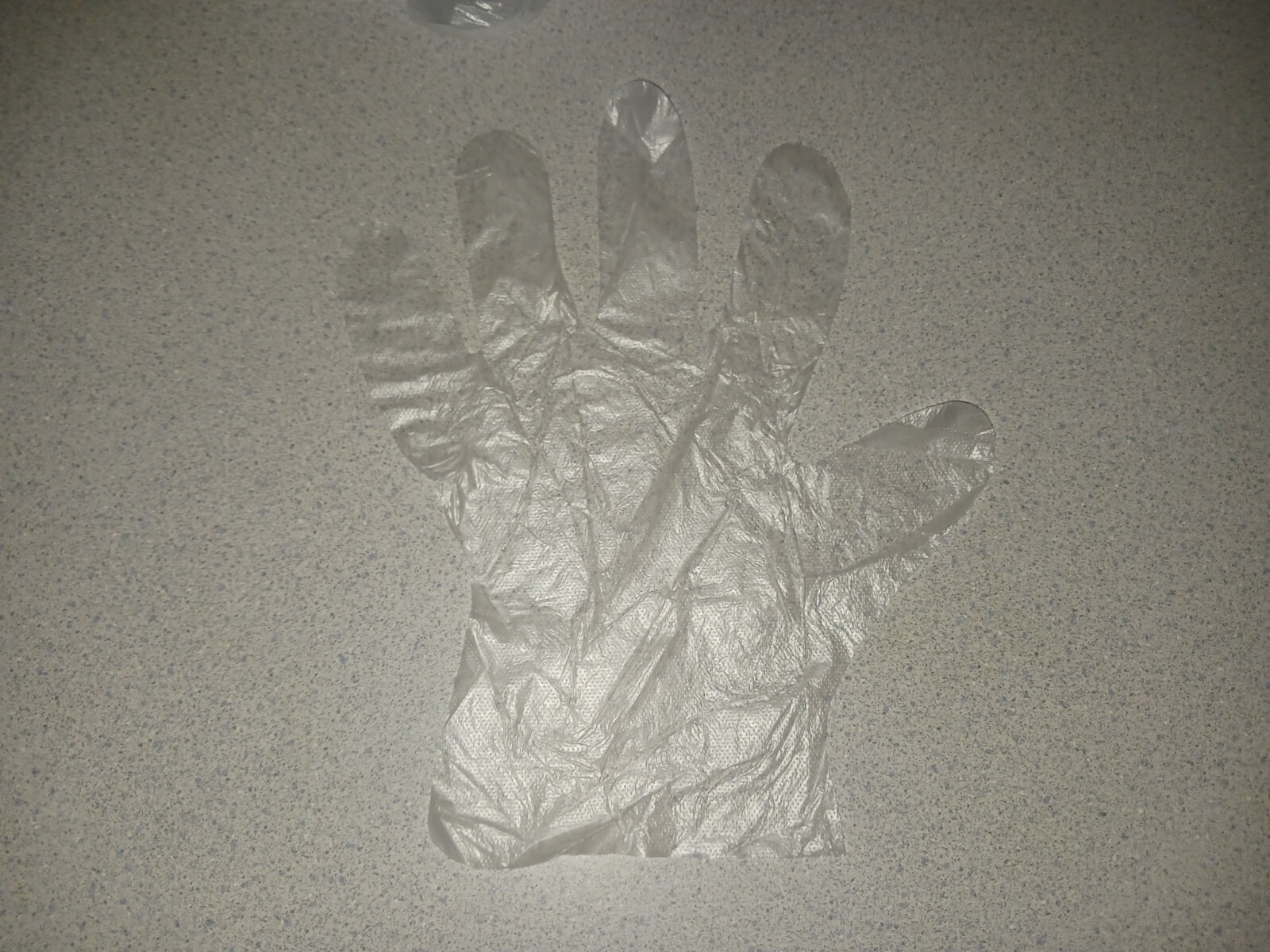 1000pc Poly Gloves HDPE Clear Plastic Disposable Work PE Latex Vinyl Free Large