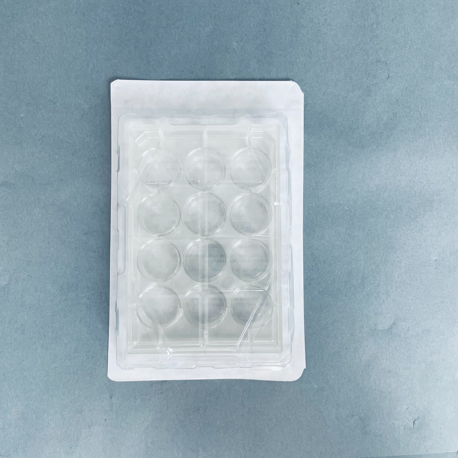 Falcon Microplate 12 Well Total of 50 Plates