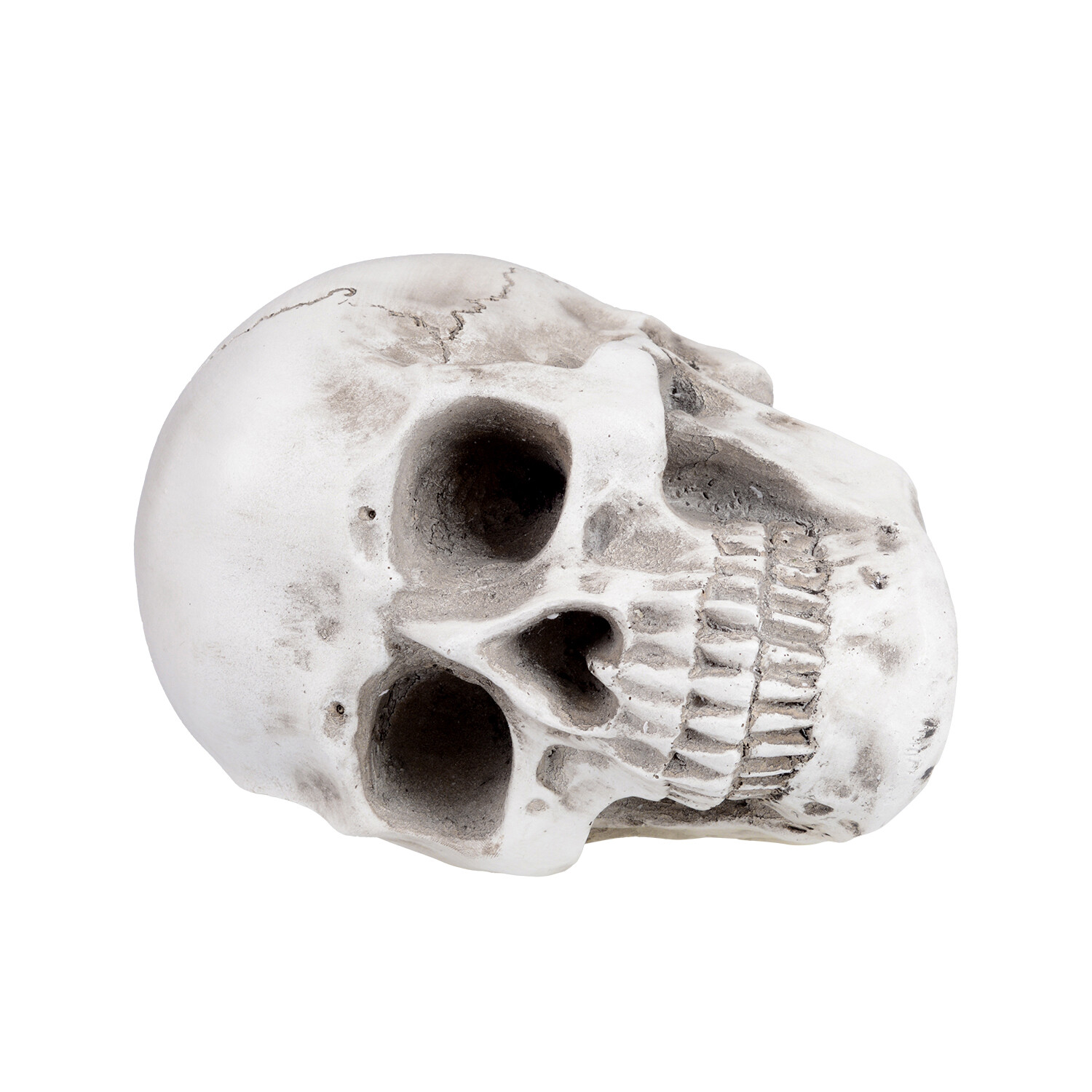 Retro Human Skull Replica Resin Anatomical Model Medical Life Size Realistic 1:1