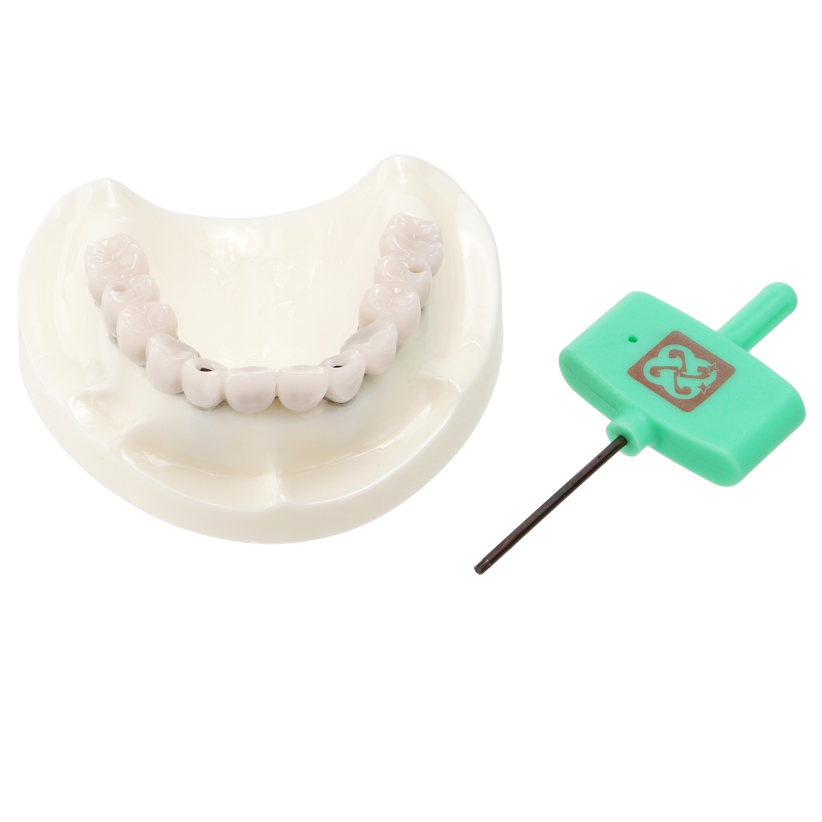Dental Implant Model Implant Restoration M6023 Upper Jaw All-on-4 Overdenture US