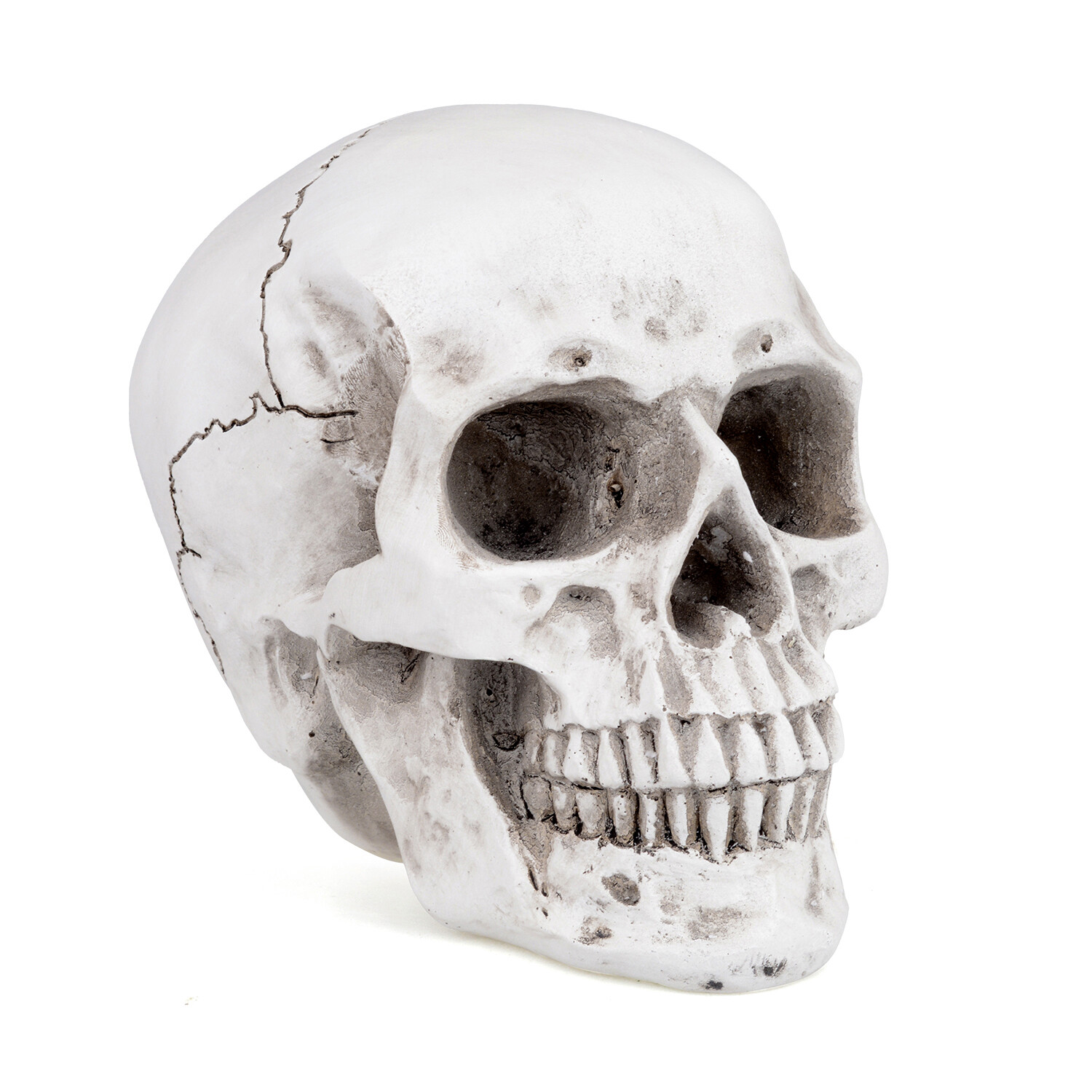 Retro Human Skull Replica Resin Anatomical Model Medical Life Size Realistic 1:1