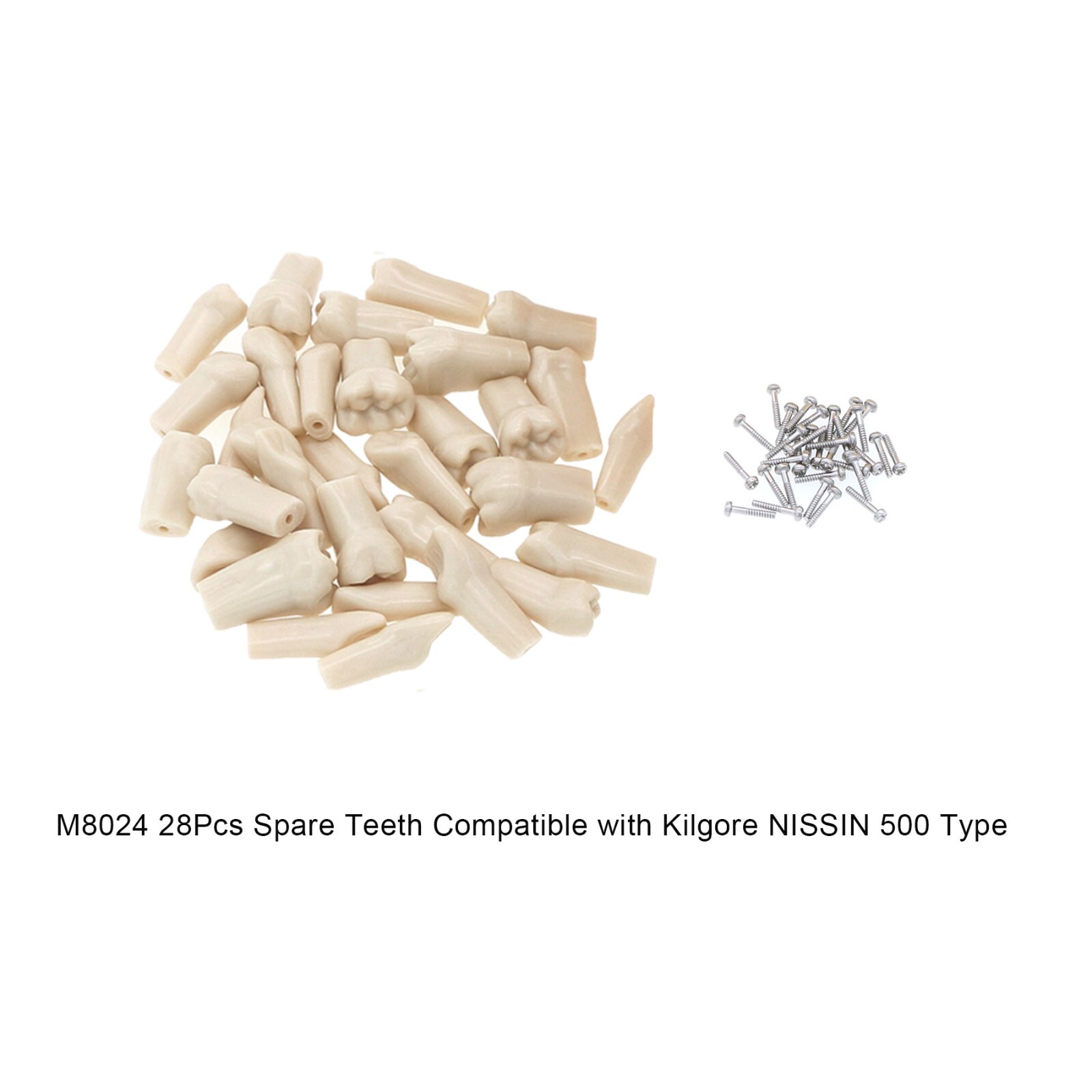 Dental 28 Pieces 200 Typodont Teeth Model with Caries Spots Fits Kilgore Nissin