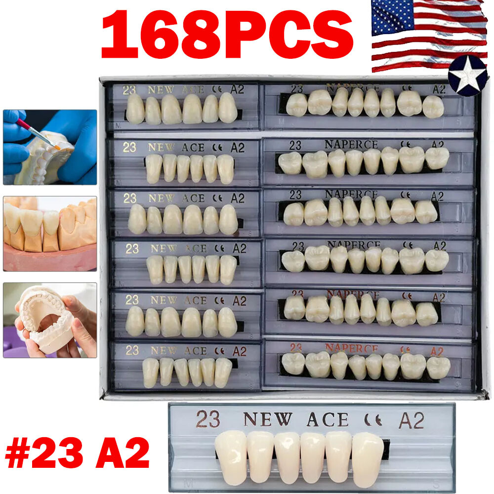 168Pcs Acrylic Resin Denture #23 Dental Upper Lower Shade A2 Teeth Set HOT