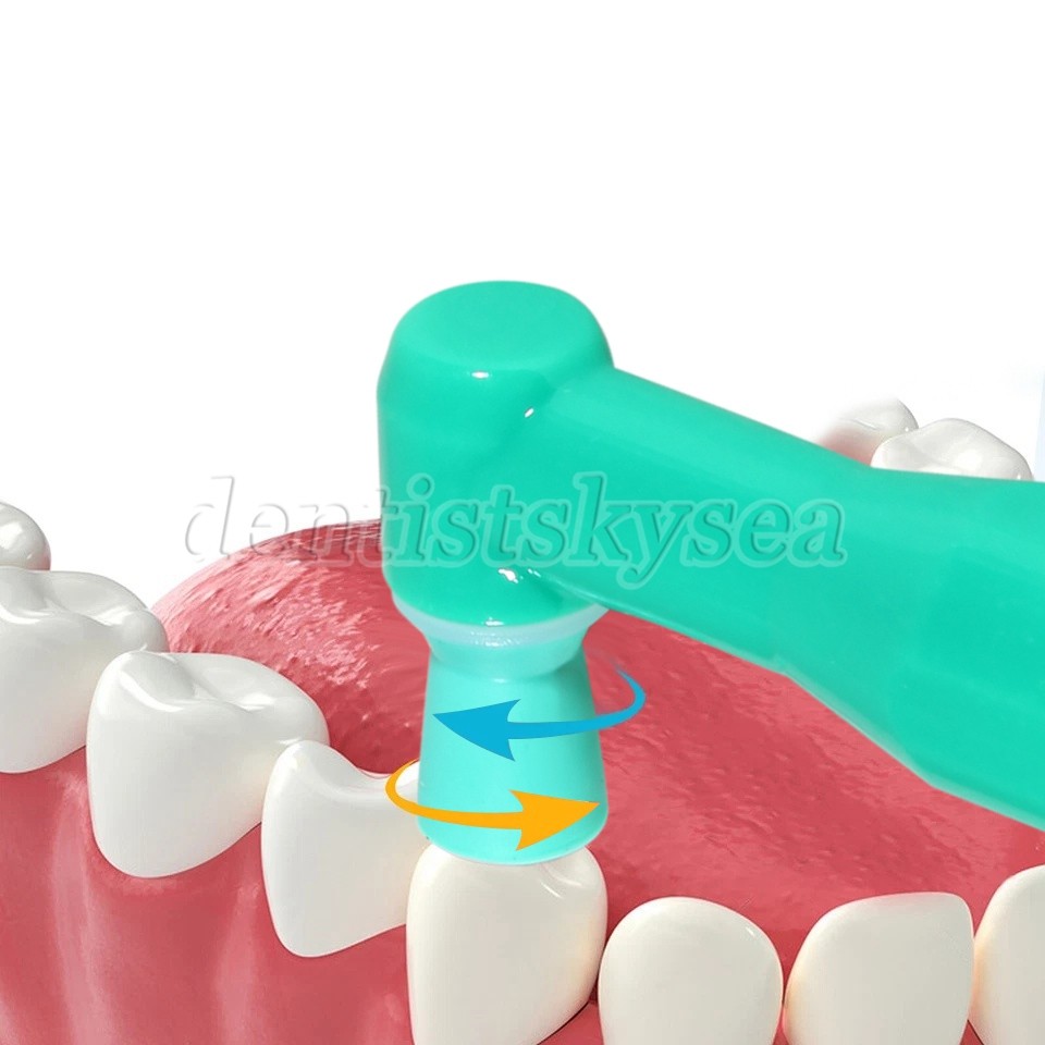 100 500/pk Copas desechables de ángulo de profilaxis dental Taza Suave y Firme