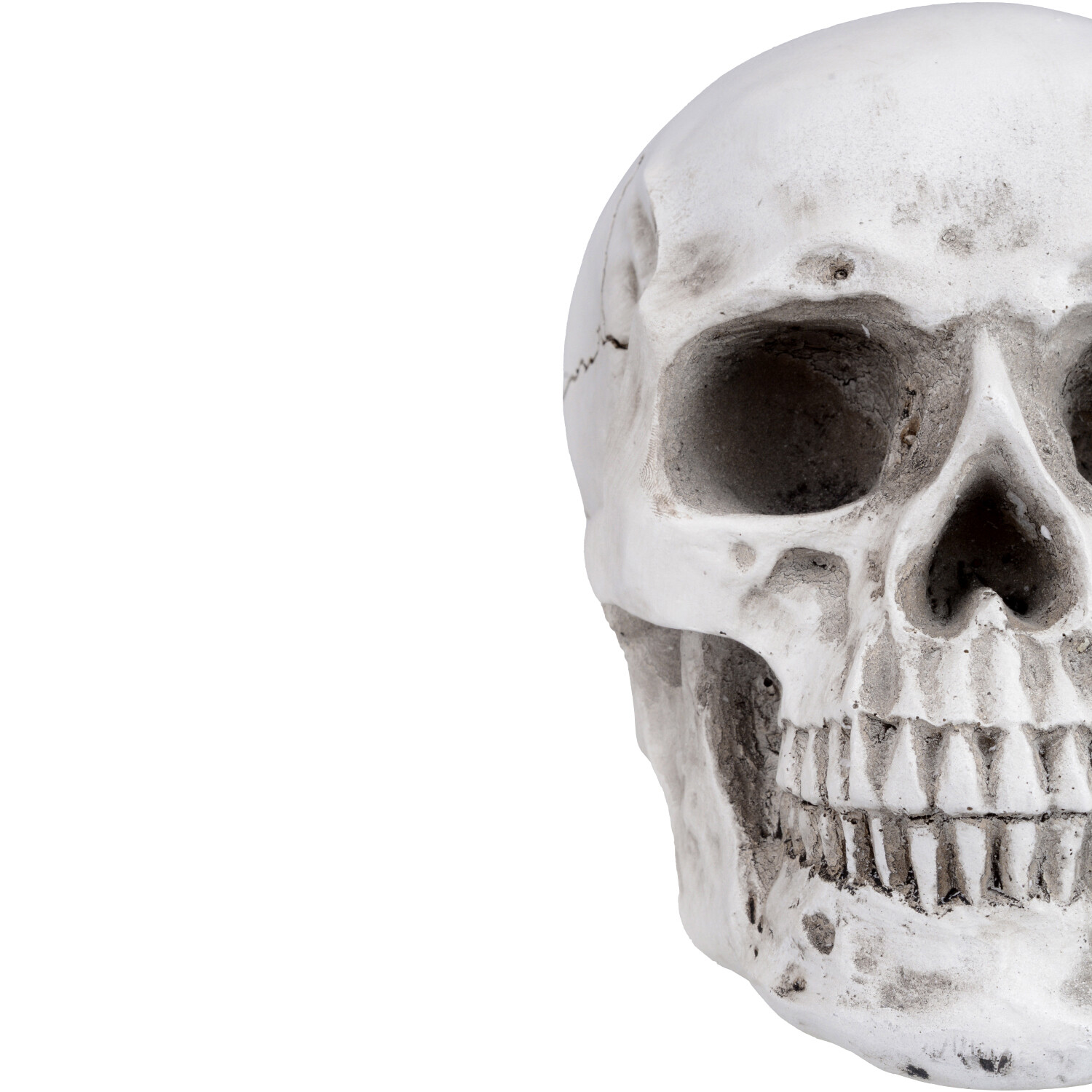 Retro Human Skull Replica Resin Anatomical Model Medical Life Size Realistic 1:1