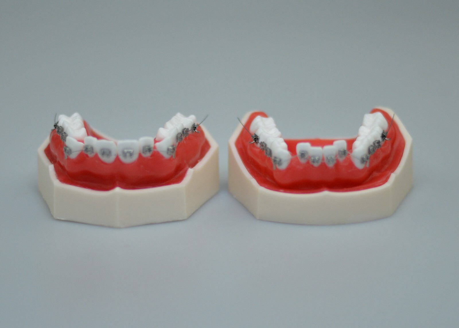 New Reusable Dental Practical Training Model/typodont/orthodontics Wax Model