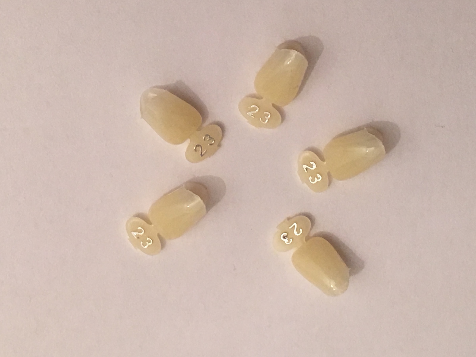 Dental Polycarbonate Temporary Crowns 5 pcs #23