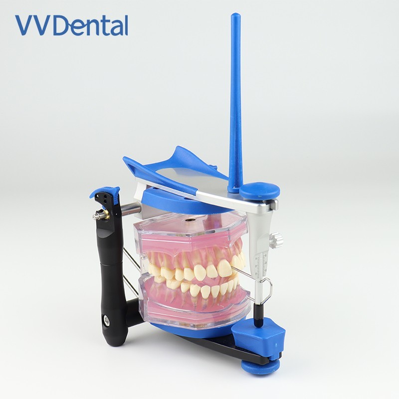 China Manufacturer Dental Lab Average Value BN Type Articulators for System