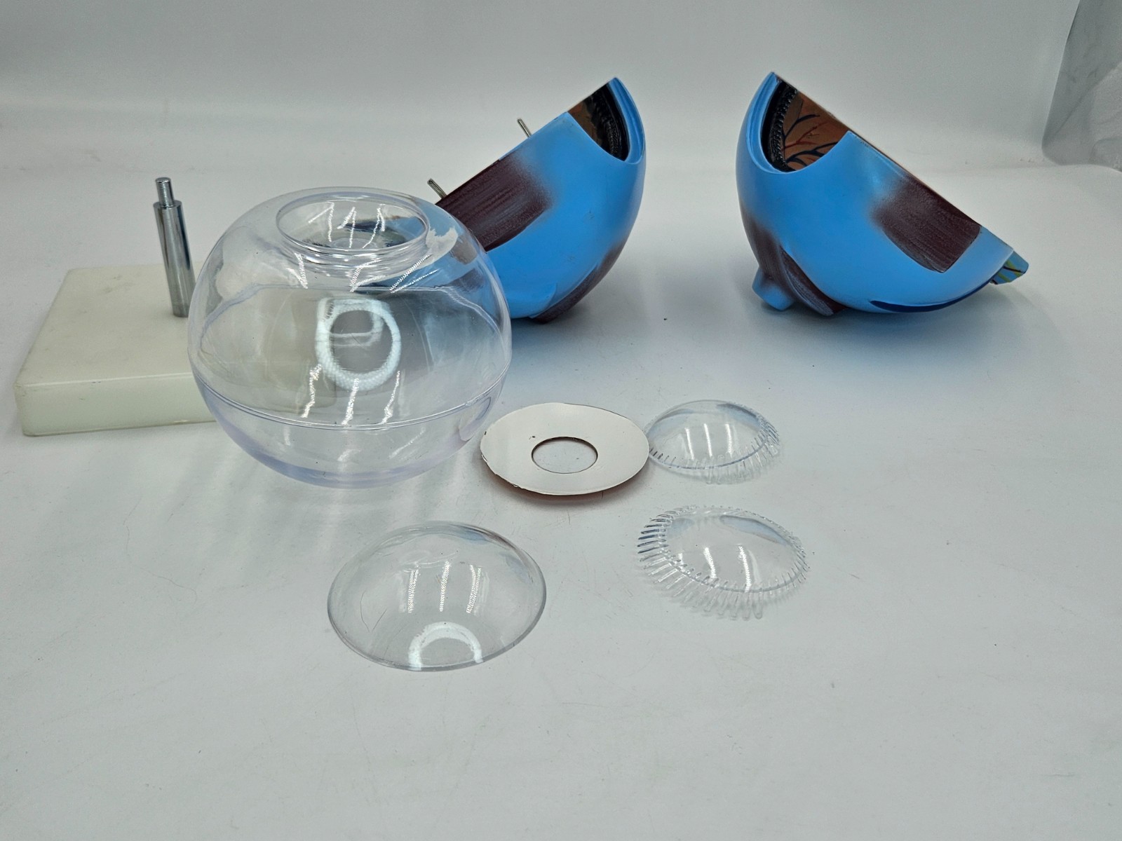 Eyeball Medical Teaching Model Multiple Pieces on Stand Anatomical