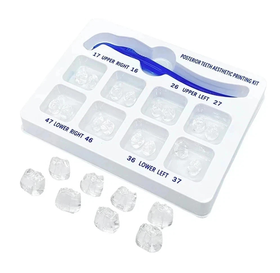Dental Veneer Mould Kit Composite Resin Mold Light Cure Anterior Posterior Teeth
