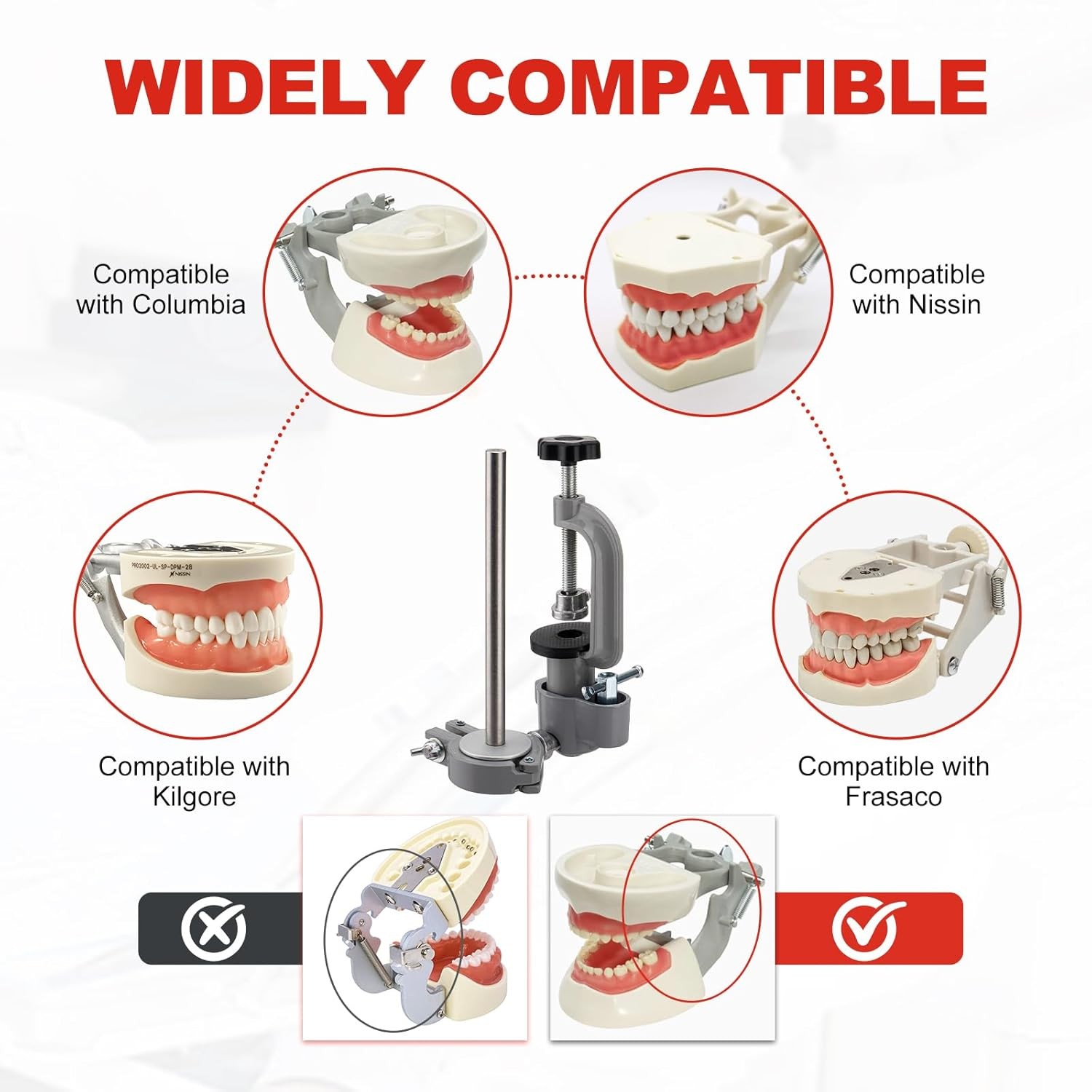 Dental Typodont Mounting Pole Teeth Model 360° Rotating not Teeth Model New