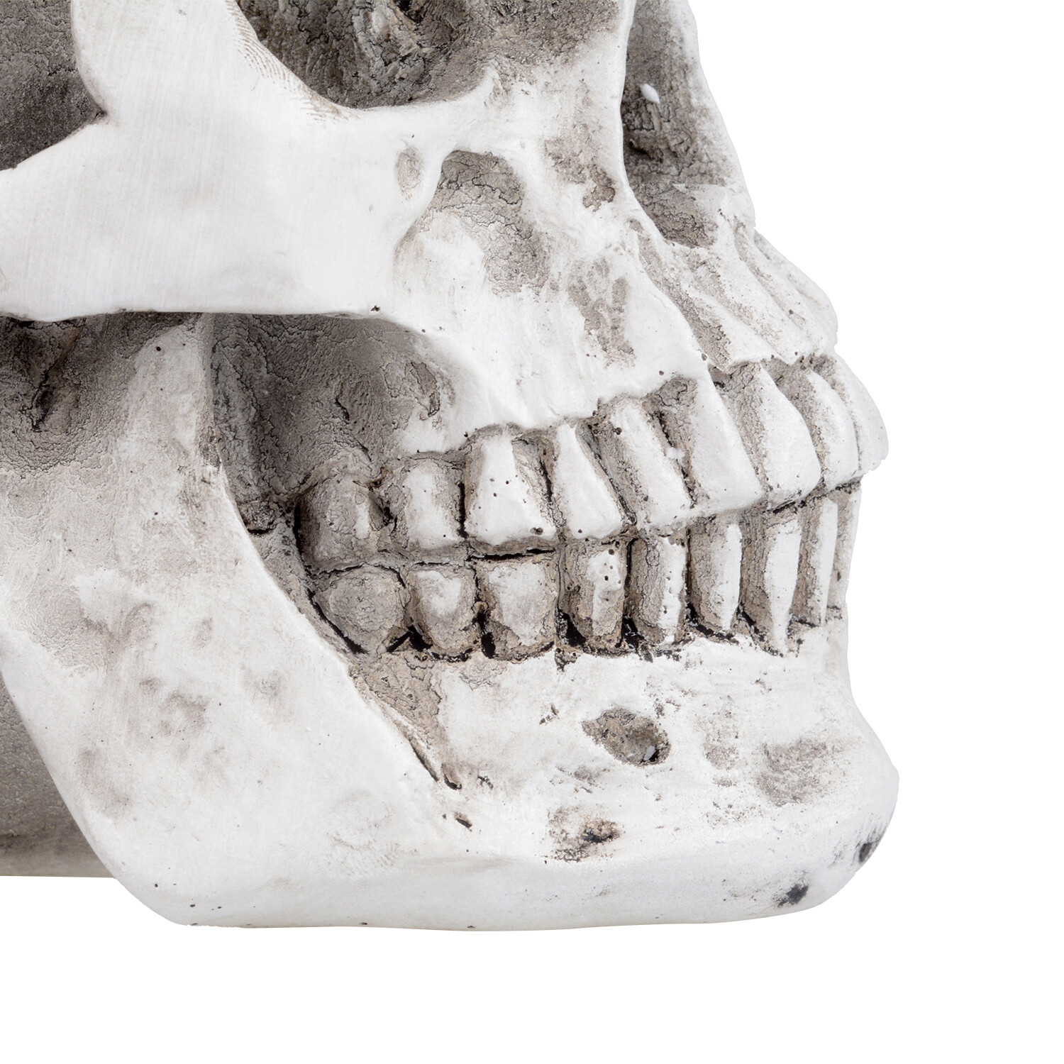 Retro Human Skull Replica Resin Anatomical Model Medical Life Size Realistic 1:1