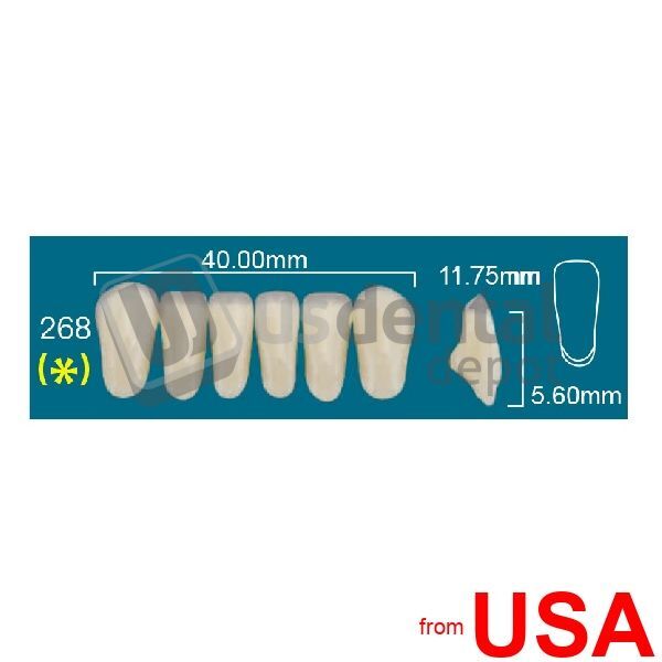 RAFAEL 268 Lower Anterior A3 (1 X 6) Rafael 2 layers Denture Acrylic Tee 113344
